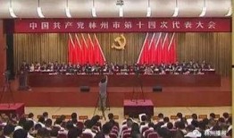 林州市最新爆料新闻事件,最新事件引发社会热议